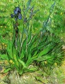 L’Iris Vincent van Gogh